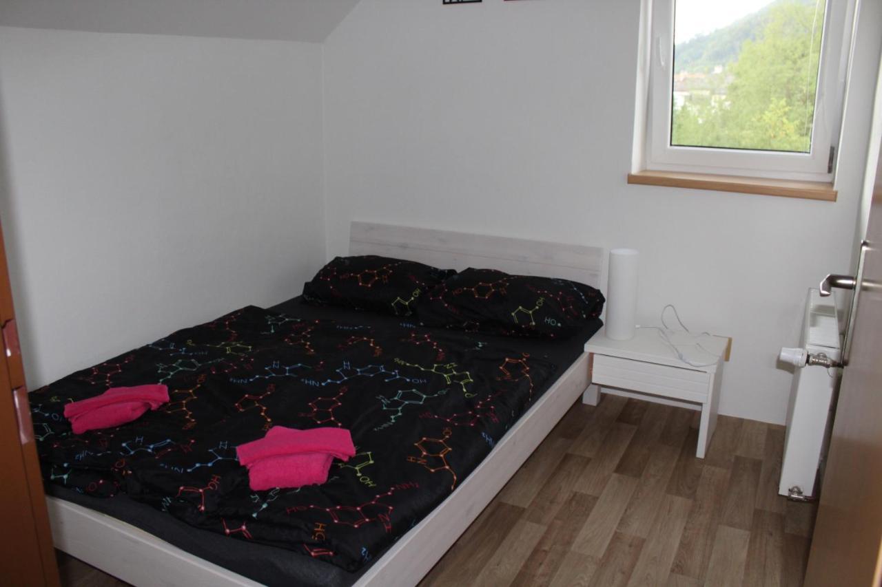 Apartman Rapotin, Jesenicka 296, 3Km Od Termalniho Parku Velke Losiny Buitenkant foto